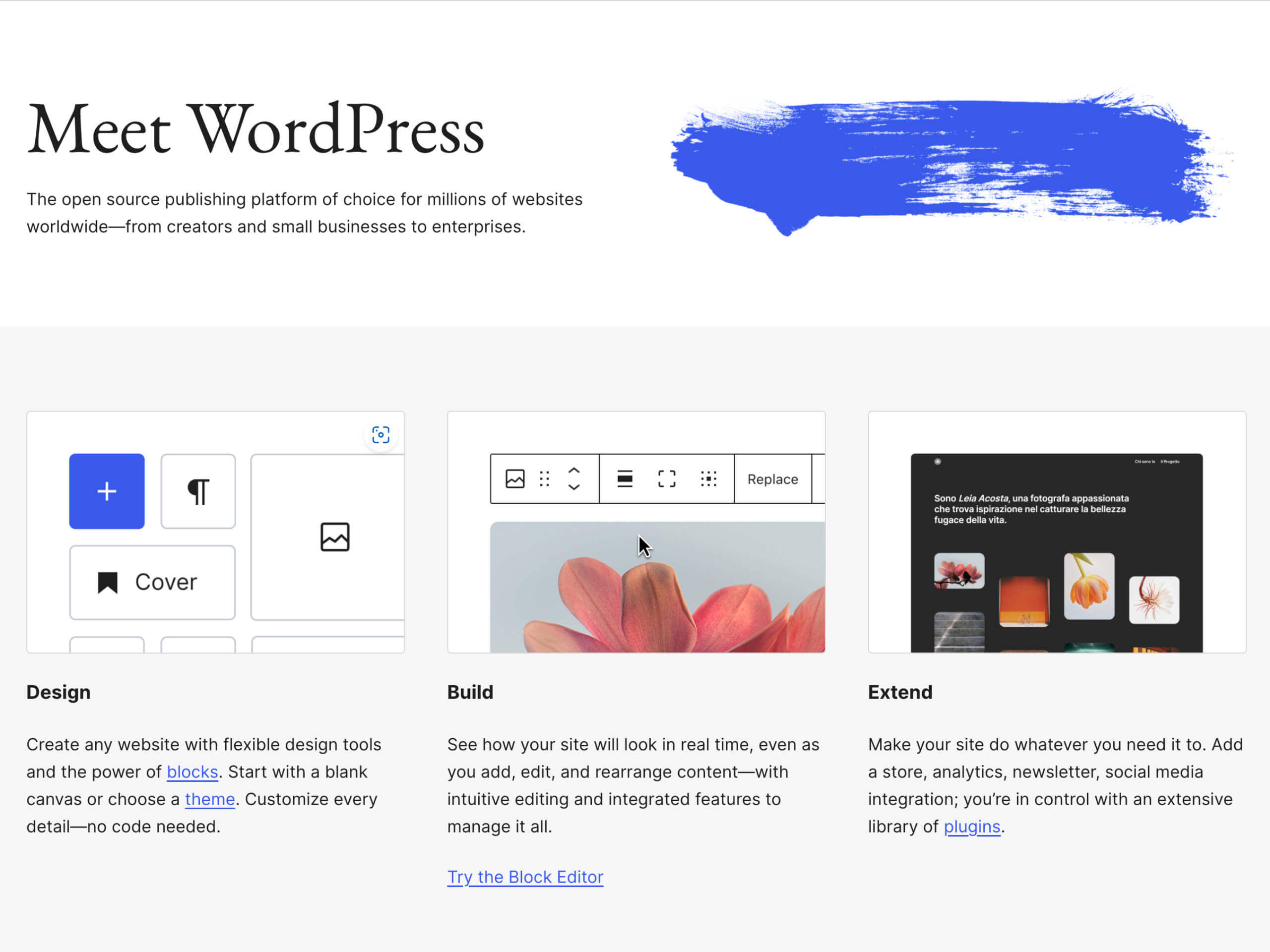 screenshot of WordPress.org